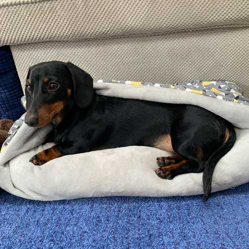Peanut
